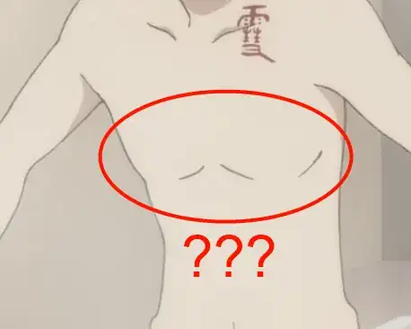 WHY DOESN'T HE HAVE ANY NIPPLES