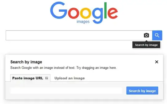 google image search screenshot