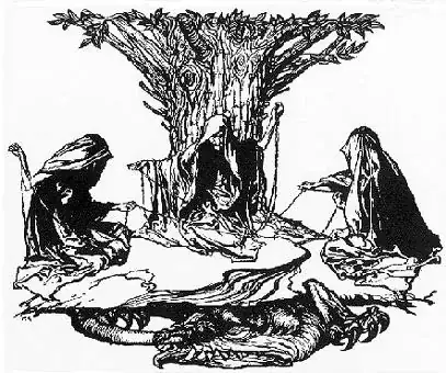 3norns