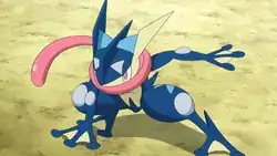 Normal Greninja