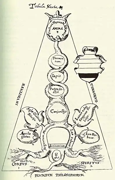 marrow of alchemy