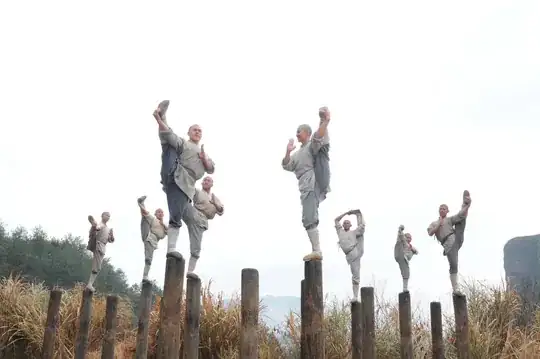 Kung Fu Training Technique utilizing Mei Hua Zhuang (Plum Blossom Poles)