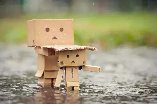 photograph of Danbo