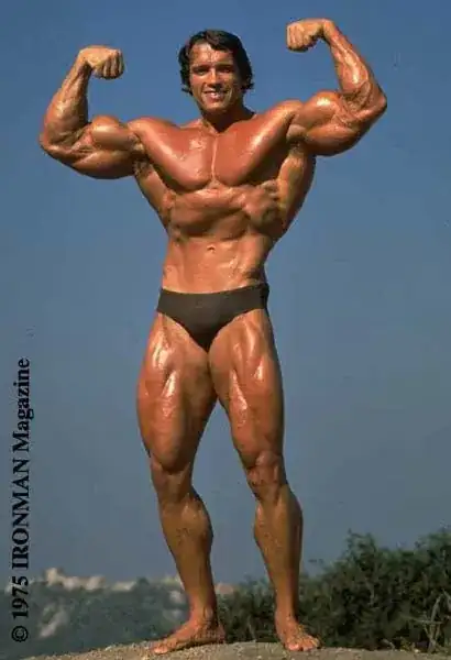 Arnold