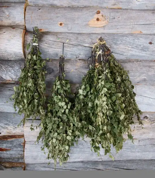 Finnish vihta