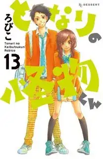 vol. 13 manga cover