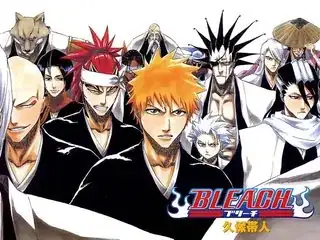 Bleach image