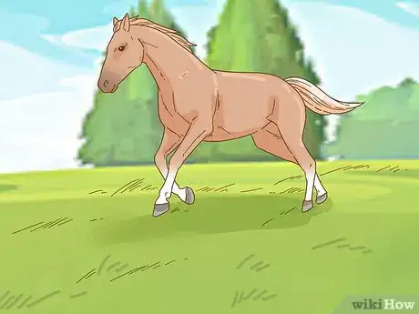 Image titled Calm Your Horse Down Quickly Step 11