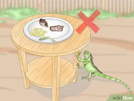 Image titled Keep Iguanas out of Your Yard or Garden Step 3