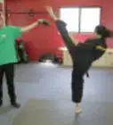 Execute the Major Kicks in Taekwondo