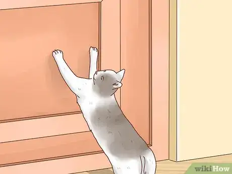 Image titled Keep Cats out of Rooms Step 5