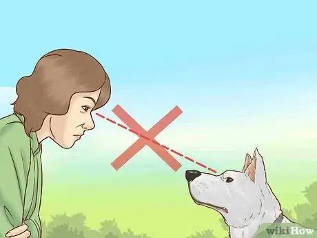 Image titled Befriend Dogs Step 12