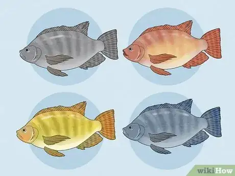 Image titled Cod vs Tilapia Step 9