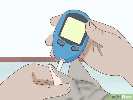 Image titled Check Blood Sugar of a Cat Step 12