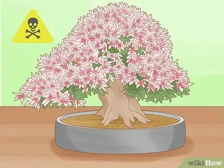 Image titled Are Bonsai Trees Poisonous to Cats Step 3