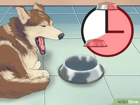 Image titled Get Rid of Flies Around Your Dog's Water and Food Bowls Step 1