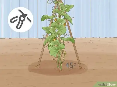 Image titled Prune Cucumber Plants Step 5