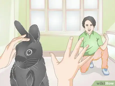 Image titled Earn Your Rabbit's Trust Step 11