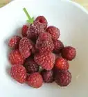 Store Raspberries