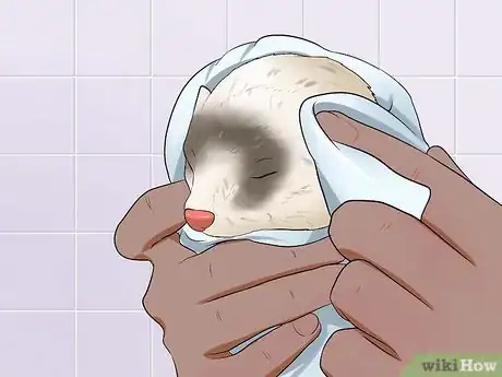 Image titled Bathe a Ferret Step 7