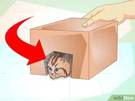 Image titled Get a Sick Kitten to Eat Step 11