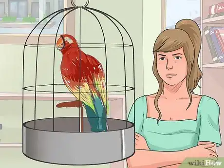 Image titled Teach Your Bird to Talk Step 11