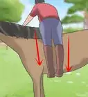 Dismount a Horse