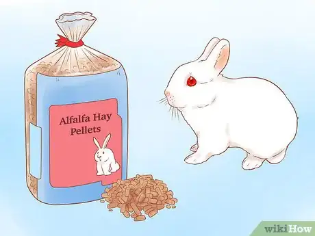 Image titled Feed Your Rabbit with Pellets Step 1