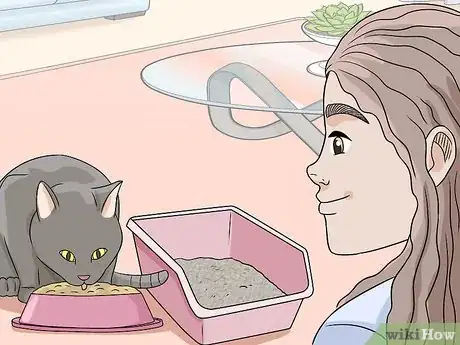 Image titled Feed a Diabetic Cat Step 12