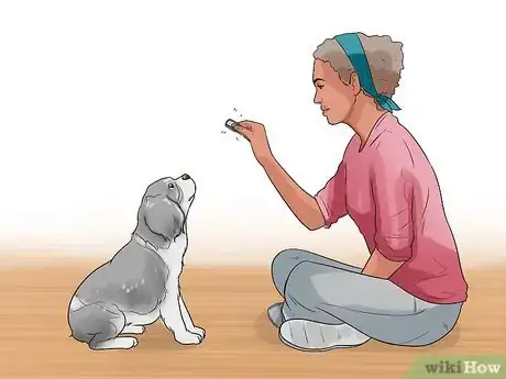 Image titled Make Your Dog Like Your Cat Step 8