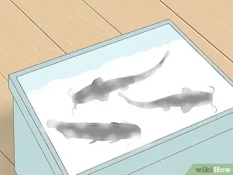 Image titled Catch a Pond Catfish Step 14