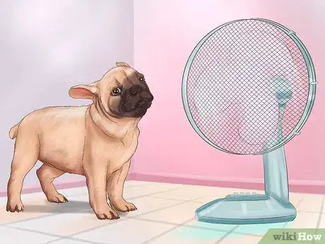 Image titled Live with a Pug Dog Step 16