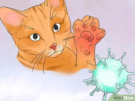 Image titled Prevent Cat Scratch Disease Step 1