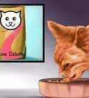 Choose Cat Food