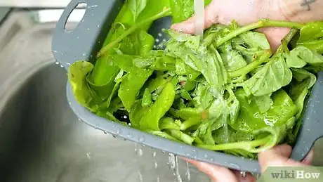 Image titled Preserve Spinach Step 16