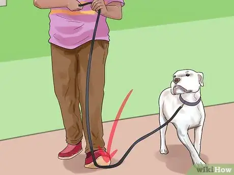 Image titled Hold a Dog's Leash Step 4