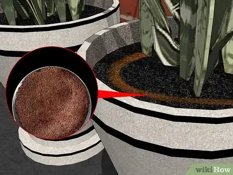 Image titled Remove Ants from Potted Plants Step 13