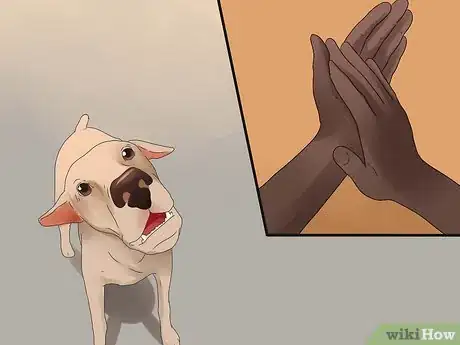 Image titled Tell if Your Dog Is Deaf Step 6