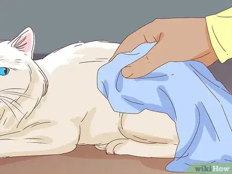 Image titled Bathe an Angry Cat With Minimal Damage Step 12