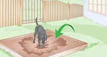 Stop a Dog from Digging Under the Fence