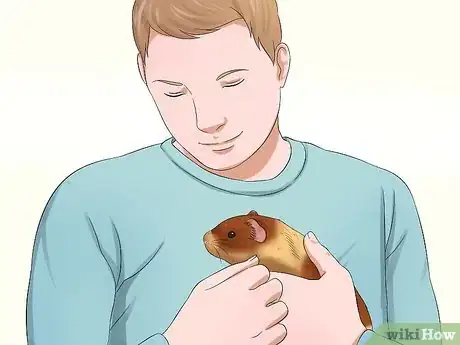 Image titled Get Your Guinea Pig to Trust You Step 2