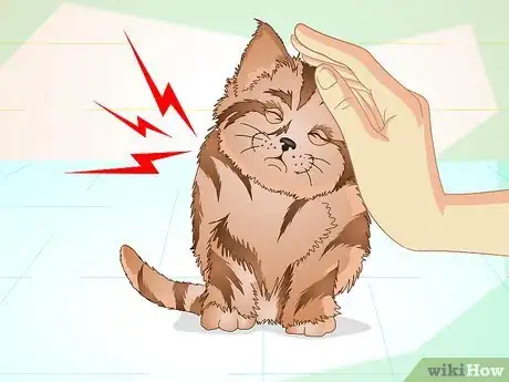 Image titled Get a Sick Kitten to Eat Step 16