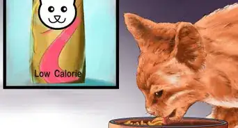 Choose Cat Food