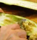 Remove Eggplant Seeds