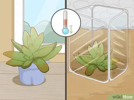 Image titled Plant Succulents Step 12