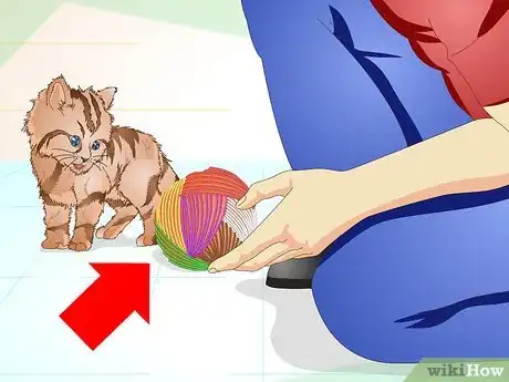 Image titled Get a Sick Kitten to Eat Step 15