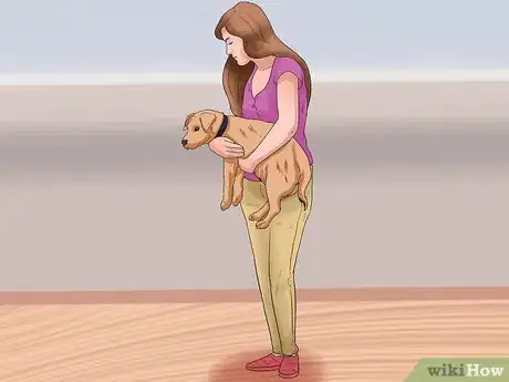 Image titled Check Your Dog's Weight Step 1