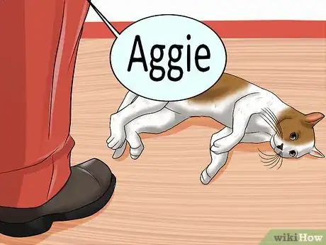 Image titled Choose a Name for Your Cat Step 11