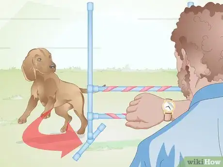 Image titled Build a Dog Agility Jump Step 14