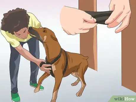 Image titled Train Your Dog from Running out of Your House Step 11